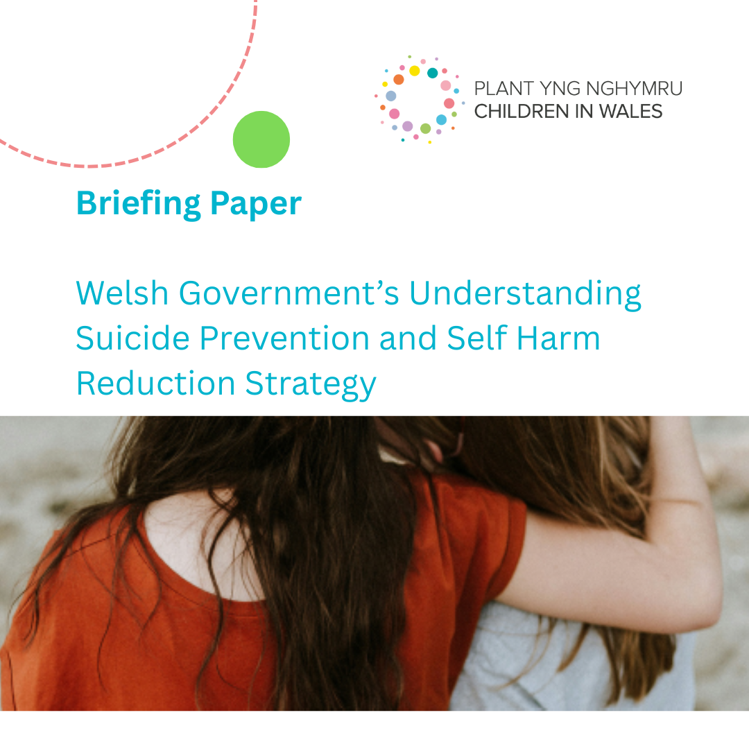 Briefing paper WG suicide prevention news story