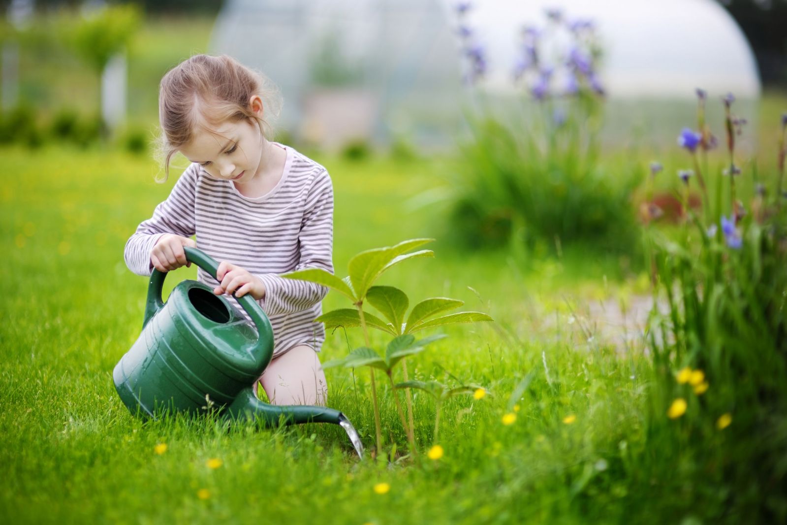 Children in Wales | Putting children at the heart of our work